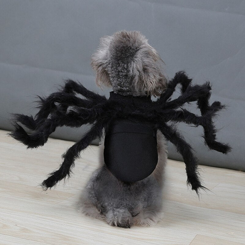 Spider Costume for Pets